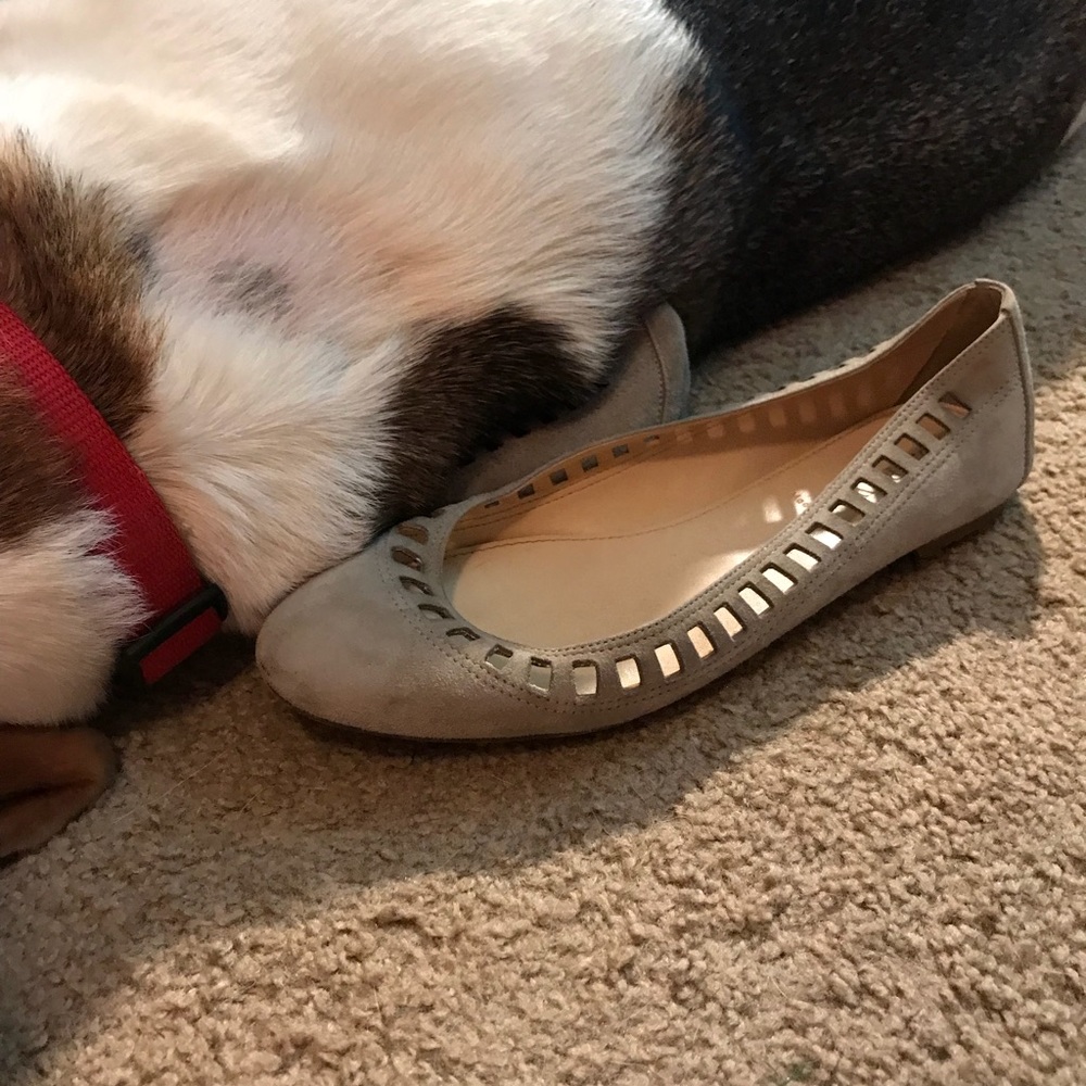 J Crew flats